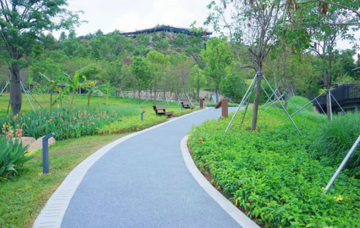 彩色透水混凝土工程----深圳?西麗生態(tài)公園